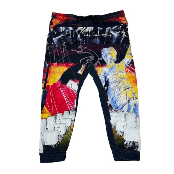 R13 Metallica Pants Sweatpants Joggers Women's Large - Picture 1 of 12